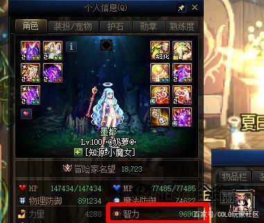 DNF发布网与勇士凯丽私服（dnf凯丽壁