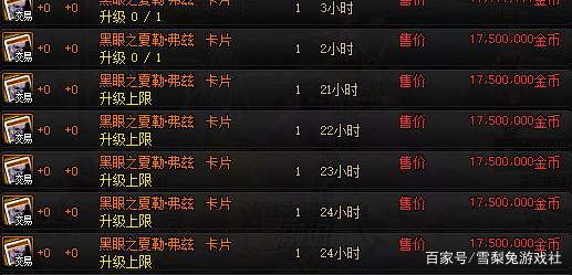 DNF发布网与勇士人气私服